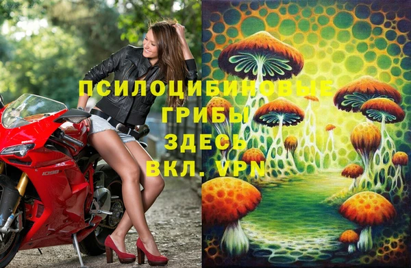 spice Алексеевка
