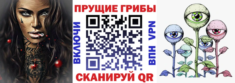 Галлюциногенные грибы Cubensis купить наркотик Дедовск